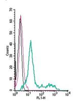 TRPC6 (extracellular) Antibody in Flow Cytometry (Flow)