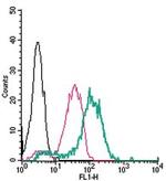 TRPV4 (extracellular) Antibody in Flow Cytometry (Flow)