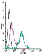 TRPV4 (extracellular) Antibody in Flow Cytometry (Flow)