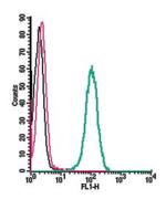 TRPM7 (extracellular) Antibody in Flow Cytometry (Flow)