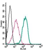 TRPV1 (extracellular) Antibody in Flow Cytometry (Flow)