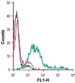 Anoctamin-6 (extracellular) Antibody in Flow Cytometry (Flow)