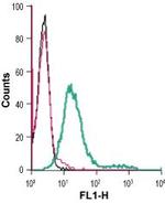 Cannabinoid Receptor 1 (extracellular) Antibody in Flow Cytometry (Flow)