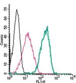 Calcium Sensing Receptor (extracellular) Antibody in Flow Cytometry (Flow)