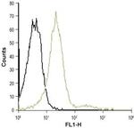 CXCR2 (extracellular) Antibody in Flow Cytometry (Flow)