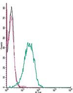 CXCR4 (extracellular) Antibody in Flow Cytometry (Flow)