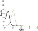 CXCR4 (extracellular) Antibody in Flow Cytometry (Flow)