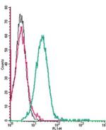 CRF1/CRHR1 (extracellular) Antibody in Flow Cytometry (Flow)