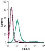 CRF1/CRHR1 (extracellular) Antibody in Flow Cytometry (Flow)