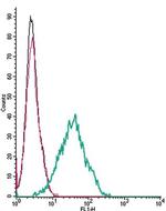 CNTFR alpha (extracellular) Antibody in Flow Cytometry (Flow)