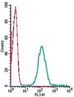 CRLR/CALCRL (extracellular) Antibody in Flow Cytometry (Flow)