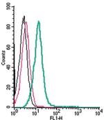 CRLR/CALCRL (extracellular) Antibody in Flow Cytometry (Flow)