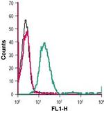 D2 Dopamine Receptor (extracellular) Antibody in Flow Cytometry (Flow)