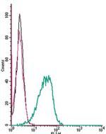 D5 Dopamine Receptor (extracellular) Antibody in Flow Cytometry (Flow)