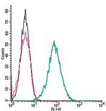 Endothelin Receptor B (extracellular) Antibody in Flow Cytometry (Flow)