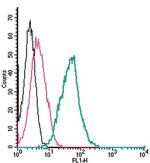 EphA1 (extracellular) Antibody in Flow Cytometry (Flow)