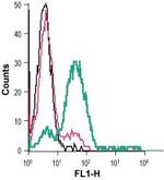 EphA3 (extracellular) Antibody in Flow Cytometry (Flow)