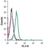 EphB4 (extracellular) Antibody in Flow Cytometry (Flow)