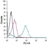 CD97/ADGRE5 (extracellular) Antibody in Flow Cytometry (Flow)