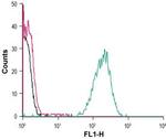 GPR120/FFAR4 (extracellular) Antibody in Flow Cytometry (Flow)