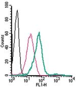 GPR120/FFAR4 (extracellular) Antibody in Flow Cytometry (Flow)