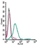 GPR120/FFAR4 (extracellular) Antibody in Flow Cytometry (Flow)