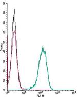 Frizzled-2 (FZD2) (extracellular) Antibody in Flow Cytometry (Flow)