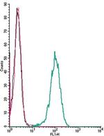 GABA(A) alpha 1 Receptor (extracellular) Antibody in Flow Cytometry (Flow)