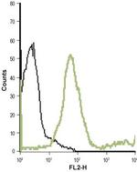 mGluR7 (extracellular) Antibody in Flow Cytometry (Flow)