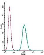 GLP1R (extracellular) Antibody in Flow Cytometry (Flow)