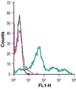 Ghrelin Receptor (GHSR) (extracellular) Antibody in Flow Cytometry (Flow)