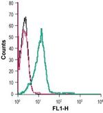 GPR132/G2A (extracellular) Antibody in Flow Cytometry (Flow)