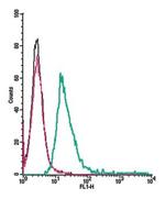 GPR132/G2A (extracellular) Antibody in Flow Cytometry (Flow)