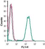 GPR37 (extracellular) Antibody in Flow Cytometry (Flow)