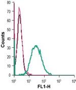 GPR84 (extracellular) Antibody in Flow Cytometry (Flow)