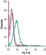 GLUT1 (extracellular) Antibody in Flow Cytometry (Flow)