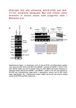 ALK Antibody in Immunohistochemistry (IHC)