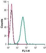 KCNN4 (KCa3.1, SK4) (extracellular) Antibody in Flow Cytometry (Flow)