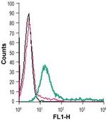 CysLTR1 (extracellular) Antibody in Flow Cytometry (Flow)