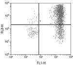 IL-6 Antibody in Flow Cytometry (Flow)