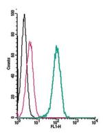 MC3 Receptor (extracellular) Antibody in Flow Cytometry (Flow)