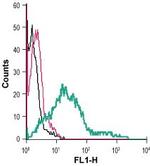 Serotonin Transporter (SERT) (extracellular) Antibody in Flow Cytometry (Flow)