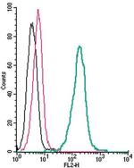 Serotonin Transporter (SERT) (extracellular) Antibody in Flow Cytometry (Flow)