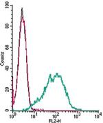 Serotonin Transporter (SERT) (extracellular) Antibody in Flow Cytometry (Flow)