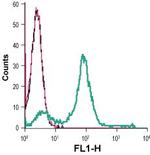 MCT1 (SLC16A1) (extracellular) Antibody in Flow Cytometry (Flow)