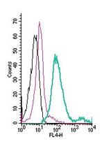 MCT1 (SLC16A1) (extracellular) Antibody in Flow Cytometry (Flow)