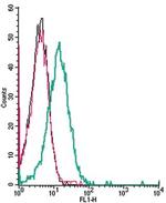 Nicotinic Acetylcholine Receptor alpha 4 (CHRNA4) (extracellular) Antibody in Flow Cytometry (Flow)