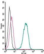 Nicotinic Acetylcholine Receptor alpha 7 (CHRNA7) (extracellular) Antibody in Flow Cytometry (Flow)