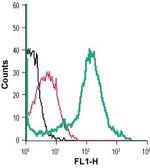 Nicotinic Acetylcholine Receptor alpha 7 (CHRNA7) (extracellular) Antibody in Flow Cytometry (Flow)