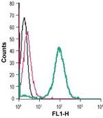 NPY1R (extracellular) Antibody in Flow Cytometry (Flow)